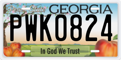 GA license plate PWK0824