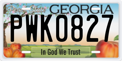 GA license plate PWK0827