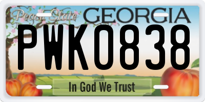 GA license plate PWK0838