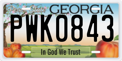 GA license plate PWK0843