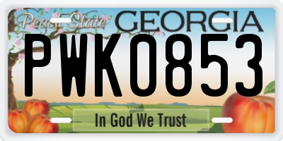 GA license plate PWK0853
