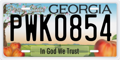 GA license plate PWK0854