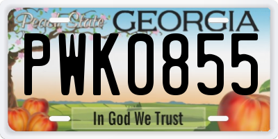 GA license plate PWK0855