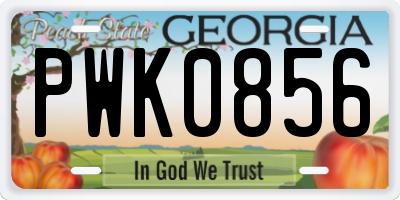 GA license plate PWK0856