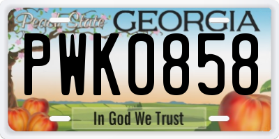 GA license plate PWK0858