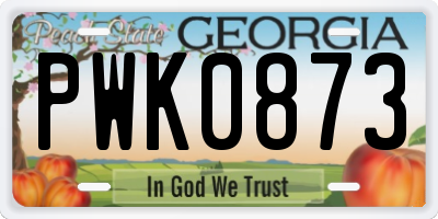GA license plate PWK0873