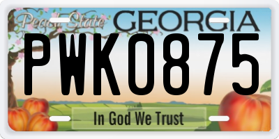 GA license plate PWK0875