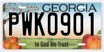 GA license plate PWK0901