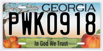 GA license plate PWK0918