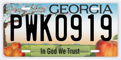 GA license plate PWK0919