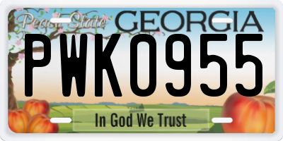 GA license plate PWK0955