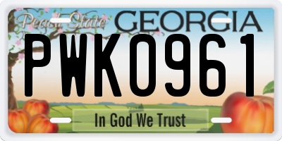 GA license plate PWK0961