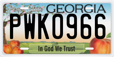 GA license plate PWK0966