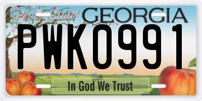 GA license plate PWK0991