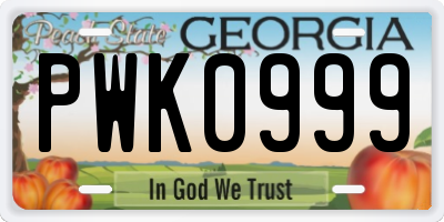 GA license plate PWK0999