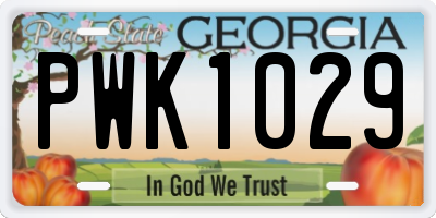 GA license plate PWK1029