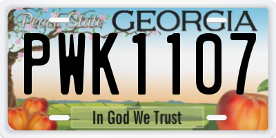 GA license plate PWK1107