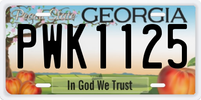 GA license plate PWK1125