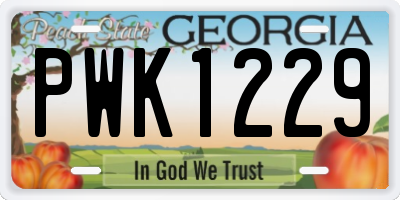 GA license plate PWK1229
