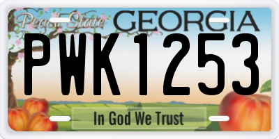 GA license plate PWK1253