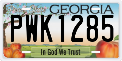 GA license plate PWK1285