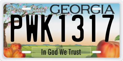 GA license plate PWK1317