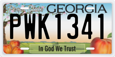 GA license plate PWK1341