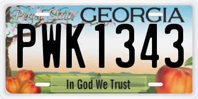 GA license plate PWK1343