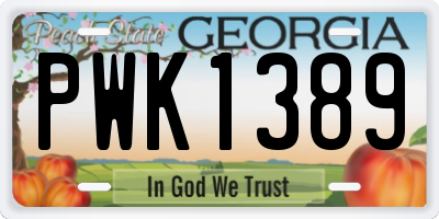 GA license plate PWK1389