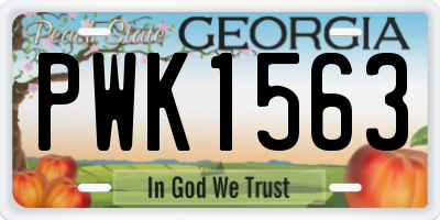 GA license plate PWK1563