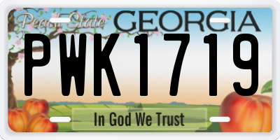 GA license plate PWK1719