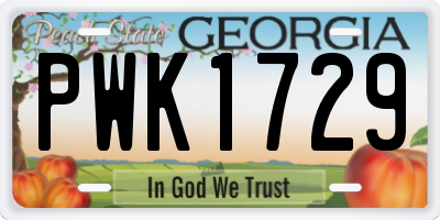GA license plate PWK1729