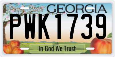 GA license plate PWK1739
