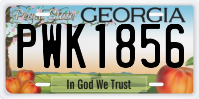 GA license plate PWK1856