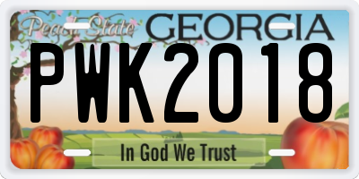GA license plate PWK2018