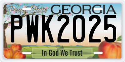 GA license plate PWK2025