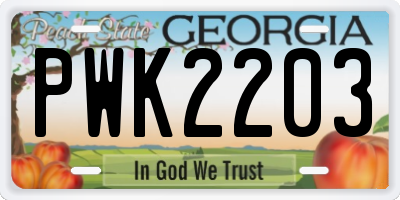 GA license plate PWK2203
