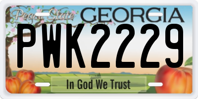 GA license plate PWK2229