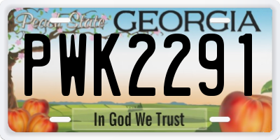 GA license plate PWK2291