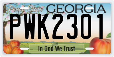 GA license plate PWK2301