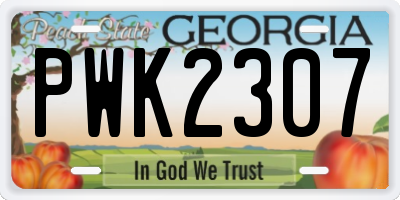 GA license plate PWK2307