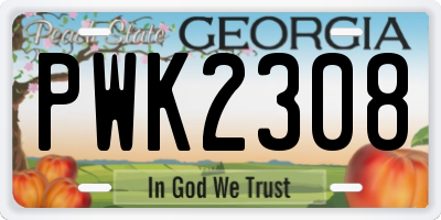 GA license plate PWK2308