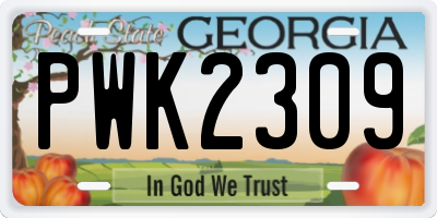 GA license plate PWK2309