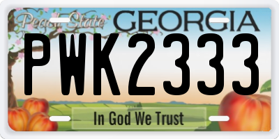 GA license plate PWK2333