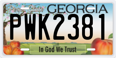 GA license plate PWK2381