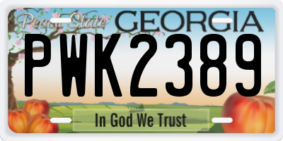 GA license plate PWK2389