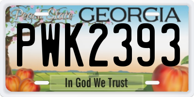 GA license plate PWK2393