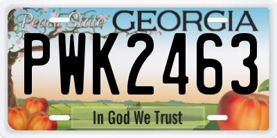 GA license plate PWK2463