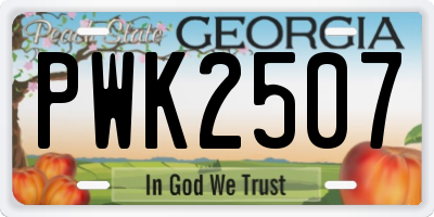 GA license plate PWK2507