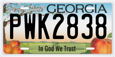 GA license plate PWK2838